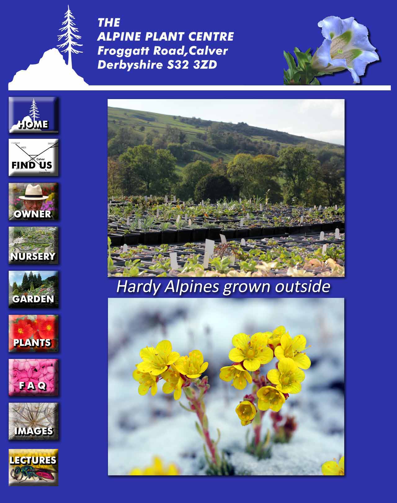 Hardy alpines page